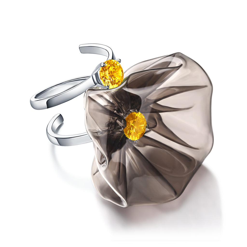 Aquarian Rotating Open Ring