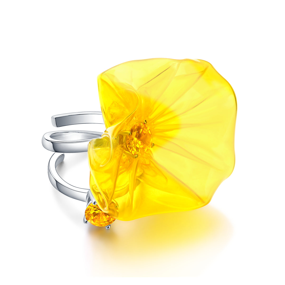 Aquarian Rotating Open Ring